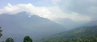 In Nepal, Women Entrepreneurs take on the Cardamom Business
