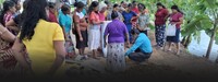 HBWs under pressure Fuel crisis hits HBWs during peak season